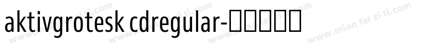 aktivgrotesk cdregular字体转换